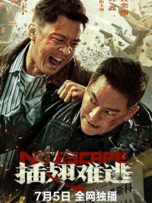 山海拾光 封面
